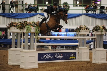 Blue Chip Winter Showjumping Championships 2016